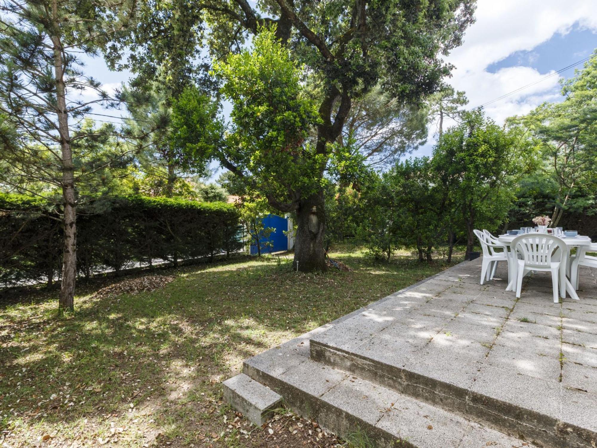 Apartment Domaine Des Fees By Interhome Saint-Palais-sur-Mer Exterior photo